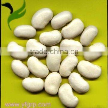 White Kidney Beans