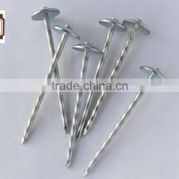 Umberlla Roofing Nail From China Supplier