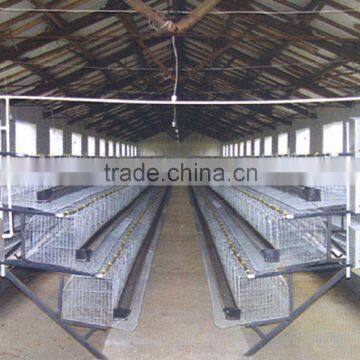 China Factory Produce H Type Baby Chicks Cage photo-6