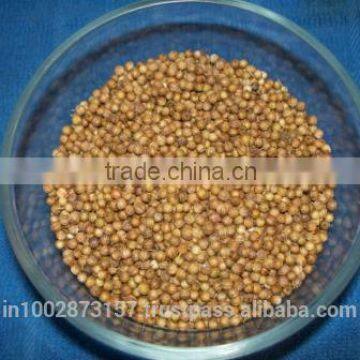 Coriander seeds