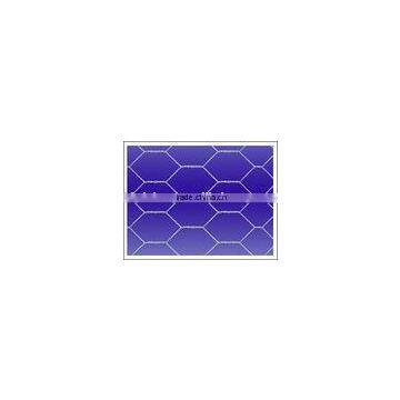 Hexagonal Wire Netting fence