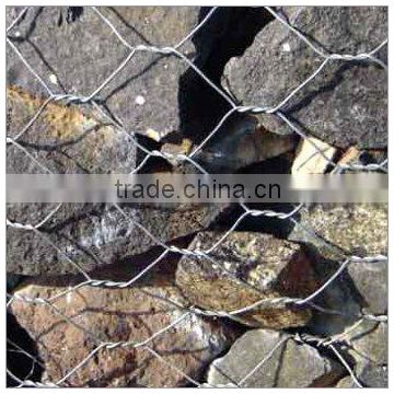 electro galvanized gabion /electro chicken wire mesh