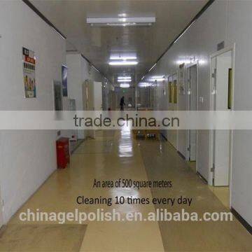 OEM Gray Nail Polish photo-6