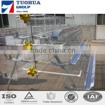 Layer Chicken Cage,cages for Broiler Chicken