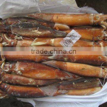 Frozen Argentina Squid