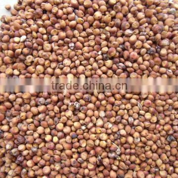 2013 new crop red sorghum (red broomcorn/kafir corn/kaoliang)