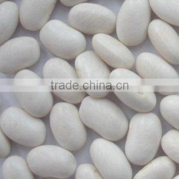 Japanese style white Kidney Beans