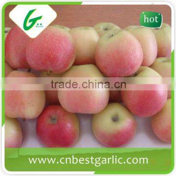 Fresh fruit royal delicious sweet gala apples