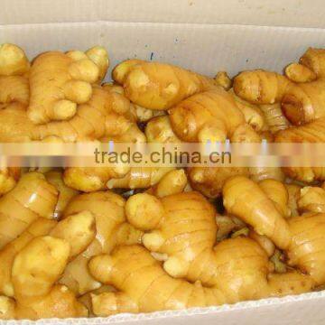 weifang fresh Ginger