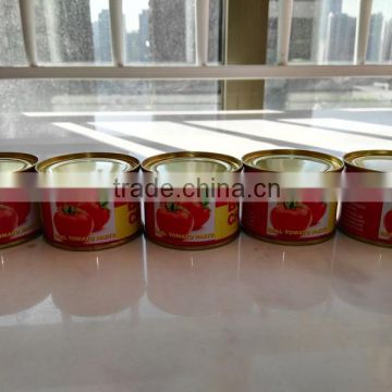 Drum tomato paste and concentrate tomato paste and aseptic package tomato paste