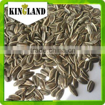 8mm Import Sunflower Seeds