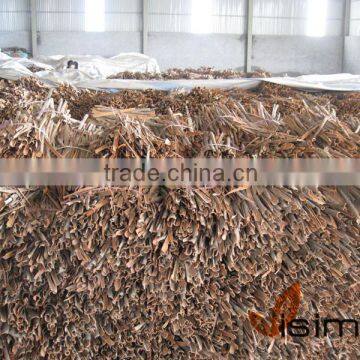 Split Cassia/Cinnamon Vietnam (SKYPE: VISIMEX09)