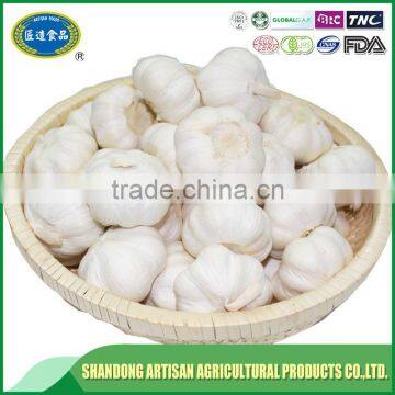 Garlic price per ton