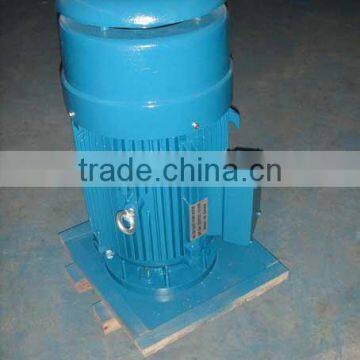 30HP vertical Hollow shaft motor