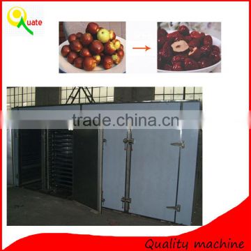 Double door electric drying oven / fruit drying machine/fruit dryer for sale