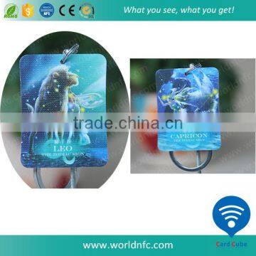 Hot Sale NDEF Format Ntag203 NFC Key Chain for Constellation photo-2