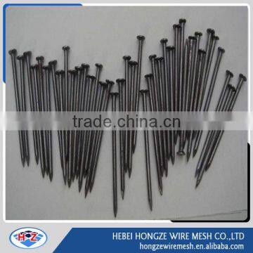 China Factory Common Wire Nails Iron Nails