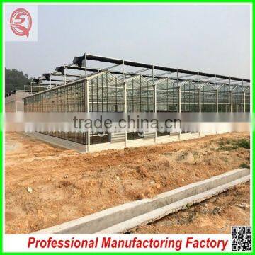 Commercial/agricultural Large Span Glass Green House for Strawberry/tomatoes photo-6
