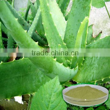 skin care material aloe vera extract powder plant extract powder skin care powder