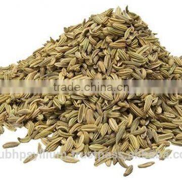 Fennel Seed Whole