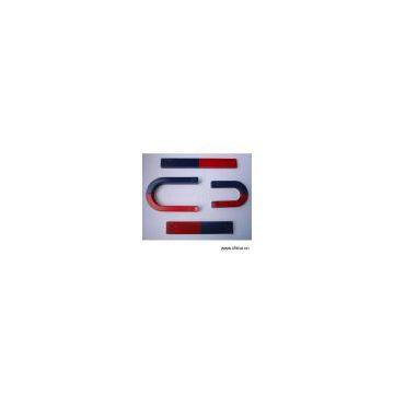 Sell Educational Magnet