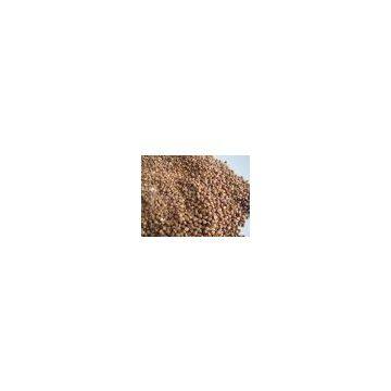 roasted buckwheat kernels