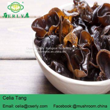 GMP Supply 100% Natural Black Fungus photo-4