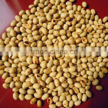 organic roasted soybean