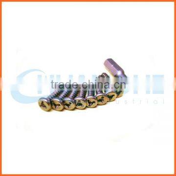 China supplier button torx head anti-theft screw