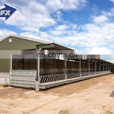 Low Cost Steel Structures Cow Farm Building