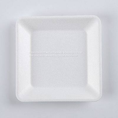 Disposable Biodegradable 6 INCH Square Plate Take Away Sugarcane photo-3