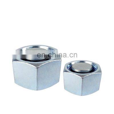 Competitive price Carbon Steel Metric Male Hexagon Hydraulic Pipe Plug