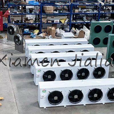 Exquisite Design Safe and Fresh-keeping Fruit Cold Room photo-3