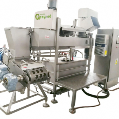 Genyond 150-250kg/h Capacity Mozzarella Cheese Cutting Cooking Stretching Moulding Making Machine