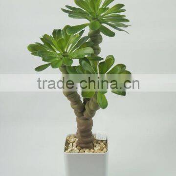 Indoor Decorative Artificial Plants Succulent Plants With Big Leaves photo-3