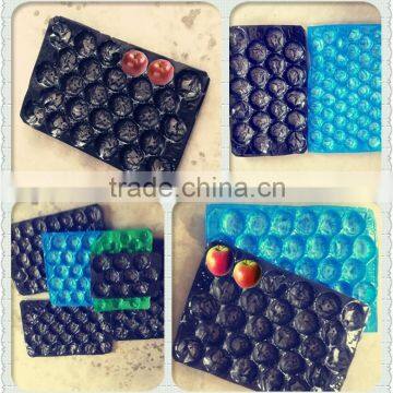 Safety Food Grade Custom Design PP Frozen Food Tray