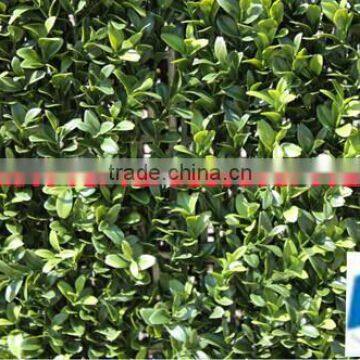 Wholesale Home Decoration Artificial Fence Wall photo-3