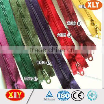 Hot Sale Brightness Dtm Plastic Zipper photo-2