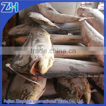 frozen fish seafood mahi mahi whole round wholesale price