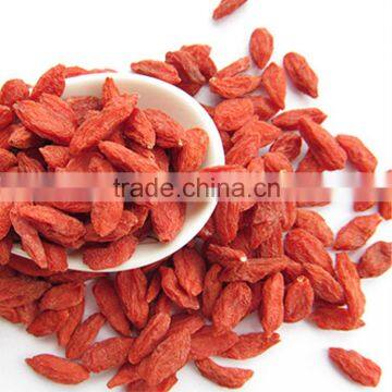 Popular Ningxia dired Goji berries wolfberry goji fruit