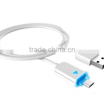 Luminous Data USB Sync and Charge Cable