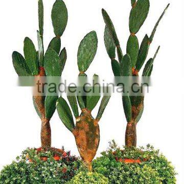 Artificial cactus team