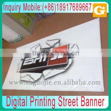 Indoor Backlit Film for Advertisement