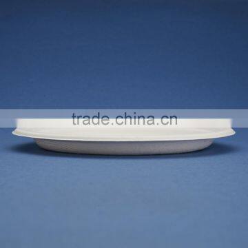PL-09 Bleached 9 Inch Round Diposable Bagasse Paper Plates Quality Choice photo-2