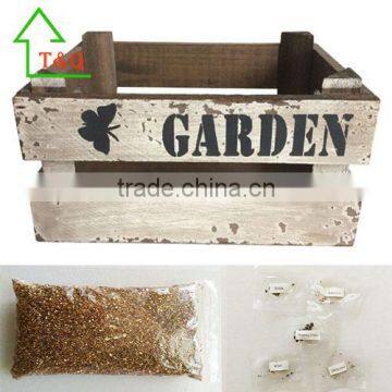 Rustic Chic Shabby Wooden Design Garden Flower Pot
