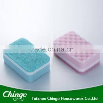 Sponge Scourer