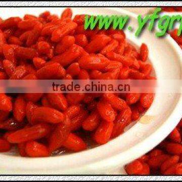 goji berries