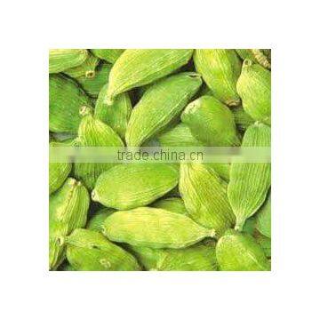 Cardamom 8 MM photo-4