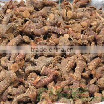 China Galangal roots