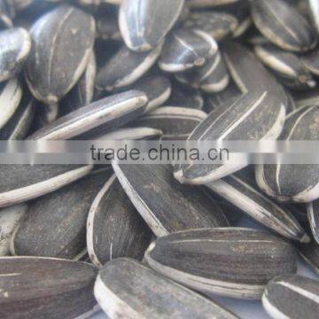 Hulled Sunflower Seeds 5009 With Good Quality photo-6